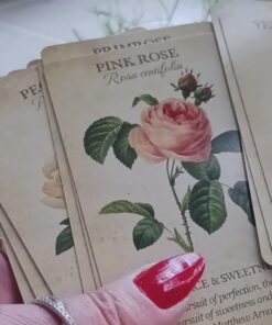 Botanical Inspirations Deck & Book Set 48 611rega1JL 1