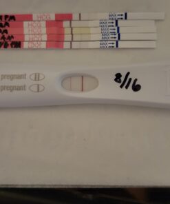 Clinical Guard 25 Pregnancy Tests Strips - Sensitive & Accurate Measurement Within 5 mins - Early Detection Pregnancy Test Strip - Easy to Use for Home Tests - HCG Test Strip 25 Count (Pack of 1) 37 611yYeiy8nL