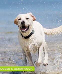 Whistle 3 / GPS Pet Tracker & Activity Monitor / Grey 39 6122uxyIjUL