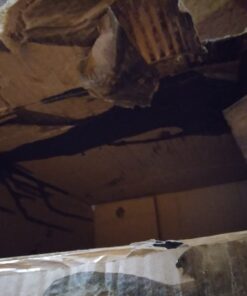 Dawn Ultra Dishwashing Liquid Dish Soap, Original Scent, 38 fl oz 38 Fl Oz (Pack of 1) 28 612APx271SL