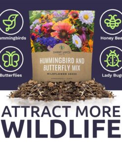 Wildflower Seeds Butterfly and Humming Bird Mix - Large 1 Ounce Packet 7,500+ Seeds - 23 Open Pollinated Annual and Perennial Species 1 Ounce Pouch 33 612BxRdkYL