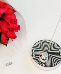 Alternative view of Kikkerland Magnetic Decision Maker