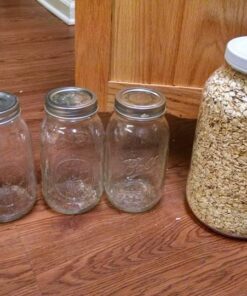 Pakkon Wide Mouth Glass Mason Jar with PlasticLid/Ferment & Store Kombucha Tea or Kefir/Use for Canning, Storing, Pickling & Preserving Dishwasher Safe, Airtight Liner Seal, 1 gallon 20 612DYPFs79L