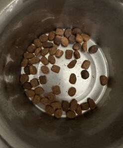 IAMS Adult Minichunks Small Kibble High Protein Dry Dog Food with Real Chicken, 15 lb. Bag 0 15 Pound (Pack of 1) 35 612DgnQF20L