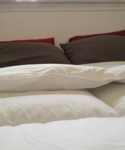 SUPERIOR Brushed Microfiber Solid Comforter, Down Alternative Bedding, Reversible, Medium Weight, Fluffy, Decorative, Duvet Insert, Oversized Blanket, Box Quilt Design, Queen, White 38 612VxYiCJhL