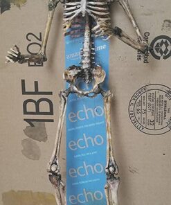 Prextex Skeleton Halloween & Day of The Dead Decoration for Home and Office - 19 Inch Posable Plastic Small Skeleton Toy Halloween Décor with Movable / Bendable Joints and 2 Sets of Body Accessories 19 inches 29 612XSTqpYgL
