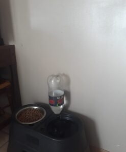 OurPets Comfort Diner Elevated Dog Food Dish (Bowls Available in 4 inches, 8 inches and 12 inches for Large , Medium and Small Dogs), Black, 12-inch 34 612YzNBgnEL