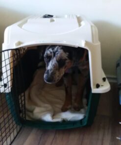 Petmate Ruffmaxx Dog Kennel Pet Carrier & Crate 28" (20-30 Lb), Outdoor and Indoor for Large, Medium, and Small Dogs - Made from Durable Recycled Material w/ 360-Degree Ventilation, Made in USA Almond & Green 28.0"L x 21.5"W x 20.5"H 16 612ZFqdjwL