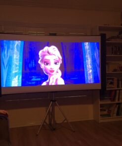 Epson Duet 80-Inch Dual Aspect Ratio Projection Screen 11 612gKol3KnL