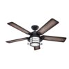 Hunter Fan Company Fan Key Biscayne Indoor/Outdoor Ceiling Fan with 2 LED Lights and Pull Chain Control, Weathered Zinc Finish, 54 Inch 23 612k0WoHL
