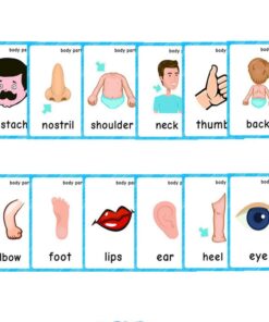 FieldDream 36Pcs/Set Body Parts Child Flash Cards Learning Toys English Baby Card Kids Gifts Pre-Kindergarten with Ring 12 612wvca7G4L