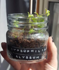 DYMO Embossing Label Maker with 3 DYMO Label Tapes 38 61317RzzdWL