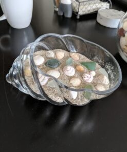 Hosley Glass Shell Vase 8 Inches Long Ideal Gift for Weddings Spa Aromatherapy Flower Arrangements Bowl for Orbs DIY Craft Projects LED Votive Candle Gardens O9 37 6139nWa3GcL