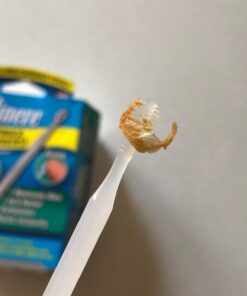 Clinere® Ear Cleaners, 10 Count Earwax Remover Tool Safely and Gently Cleaning Ear Canal at Home, Ear Wax Cleaner Tool, Itch Relief, Ear Wax Buildup, Works Instantly, Exfolimates, Earwax Cleaners. 10 Count (Pack of 1) White 45 613GiTKXxaL