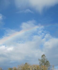 Nikon Coolpix L330 Digital Camera (Black) 18 613Ovzs2XsL