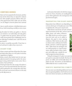 The Modern Herbal Dispensatory: A Medicine-Making Guide 38 613bSEhAVSL