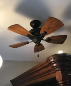 Hunter Fan Company 52090 Hunter Watson Indoor ceiling Fan with LED Light and Pull Chain Control, New Bronze finish 38 613cE4njBlL