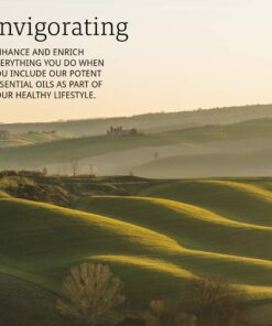 NOW Essential Oils, Oil of Oregano, 25% Blend of Pure Oregano Oil in Pure Olive Oil, Comforting Aromatherapy Scent, Steam Distilled, Vegan, Child Resistant Cap, 1-Ounce 12 613cU0jKHQL