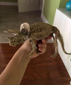 Large Dinosaur Excavation Kit 39 613nYoEtdKL