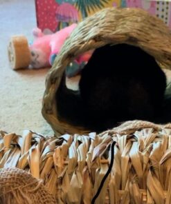 Oxbow Animal Health Timothy Hay Tunnel 24 613sqJlFNAL