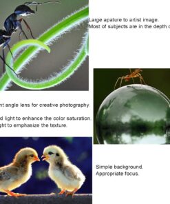 Mcoplus Extnp Auto Focus Macro Extension Tube Set for Nikon AF AF-S DX FX SLR Cameras 43 613zK5IqkKL