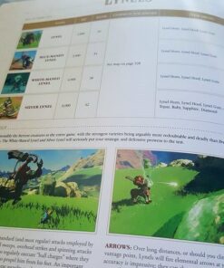The Legend of Zelda: Breath of the Wild: The Complete Official Guide Collector's Edition 61 6140JfUYDlL