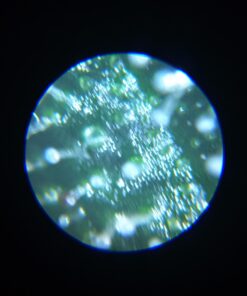 Formline LED Illuminated Jewelers Loupe/Trichome Scope (60x + 30x Lens) - Magnifier Made for Gardening, Jewelry, Antiques, Coins, Rocks, Stamps, Hobbies, Watches, Photos and Science (White/Silver) White 26 6145QCUwPJL