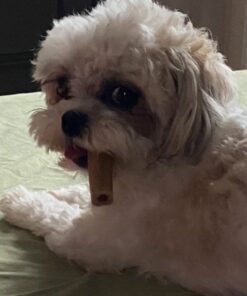 PURINA Busy Made in USA Facilities Toy Breed Dog Bones, Tiny - 30 ct. Pouch 30 Count (Pack of 1) 34 6148ORv8L