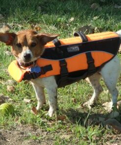 Outward Hound Granby Splash Orange Dog Life Jacket, Medium Granby (Flotation) Medium (Chest Girth: 21"-27") 40 614AhtzwOwL