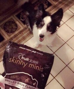 Fruitables Skinny Mini Dog Treats – Healthy Treats for Dogs – Low Calorie Training Treats – Free of Wheat, Corn and Soy – Grilled Bison – 5 Ounces 5 Ounce (Pack of 1) 9 614JFbECQgL