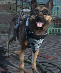 Fallout 4 - PC Standard 42 614UoUgLbLL