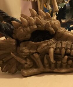 Snarling Magical Dragon Skull Treasure Trinket Box 46 614WnfkBIeL