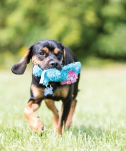 KONG - Cozie Ali Alligator - Indoor Cuddle Squeaky Plush Dog Toy - For Medium Dogs Standard Packaging 25 614ZoctIOoL