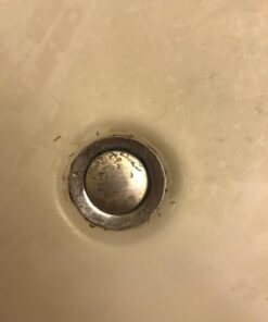 FRUIT FLY GOODBYE Gel Drain Treatment | Drain Fly Killer | Fruit Fly Killer | Drain Flies Treatment | Fruit Flies Treatment | Drain Fly & Fruit Fly Eliminator (32 oz) 26 614ggUUfs6L