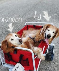 Mac Sports Heavy Duty Collapsible Folding All Terrain Utility Wagon Beach Cart - Red/White 23 614jAo0HD9L