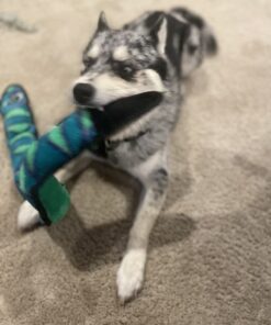 Outward Hound Durablez Tough Plush Squeaky Dog Toy, Snake, Blue, XL Blue Snake 44 614kxQYVeML