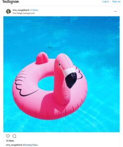 GoFloats Flamingo Pool Float Party Tube - Inflatable Rafts, Adults & Kids 31 614qrGIucIL