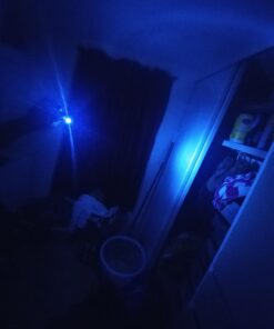 HOSL Mini Led Balloon Lights 60PCS Small Lantern Lights for Balloons, Paper Lanterns, Craft, Halloween, Wedding, Party Decorations String Lights Battery Operated (White, Non-Blinking) White, Non-Blinking 34 6154dDSpL