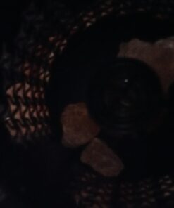 CRYSTAL DECOR Himalayan Pink Salt Lamp Basket & Dimmer Cord Bulb Tristar1 16 6154uwkcSL