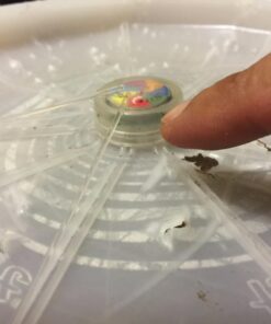 Nite Ize Flashflight LED Light Up Flying Disc Replaceable Batteries Disc-o 37 6155ufhWraL