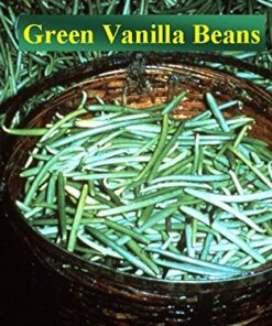 Bakto Flavors Pure Madagascar Vanilla Extract, 8 Ounces 8 Fl Oz (Pack of 1) 16 6157qMSTyjL