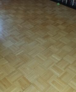 Ewbank EP170 All-In-One Floor Cleaner, Scrubber and Polisher, Red Finish, 23-Foot Power Cord 42 6158H1w zL