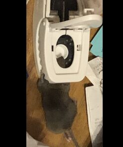 Tomcat Press 'N Set Mouse Trap, Plastic, Spring-Loaded Mouse Killer with Grab-Tab, 2 Traps Mouse Traps (2 Traps) 49 6158gWLwbL