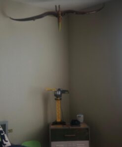 Jet Creations 57" Inflatable Pteranodon, Large Inflatable Dinosaurs Animals Toys for Indoor and Outdoor Play Pteranodon / Pterodactyl 31 615A5ODFrpL