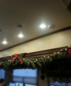 RTGS 60 LEDs String Lights Battery Operated on 20 Feet Long Silver Color Wire, Indoor and Outdoor with Waterproof Battery Box and Timer (Warm White) Warm White 31 615GyJ b1FL