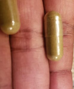 Superior Labs – Pure Natural Graviola NonGMO – 1,200mg, 120 Vegetable Caps– Natural Dietary Soursop Supplement – Healthy Skin & Helps Promotes Cell Growth – Respiratory System - Balanced Mood 33 615Ngc1IfgL 1