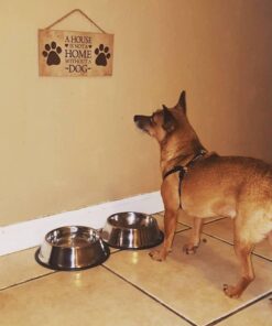 GPET Dog Bowl 32 Ounce Stainless Steel with Rubber Base (Set of 2) 18 615R4AoJc8L