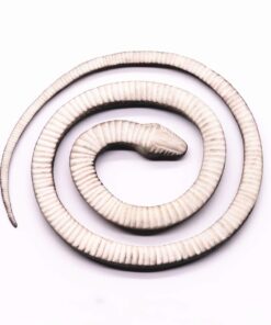 Homdipoo Realistic Fake Rubber Toy Snake Black Fake Snakes That Look Real Prank Stuff Cobra Snake 27 Inch Long (Black) 11 615RGXwRaXL