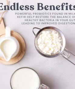 Cultures for Health Milk Kefir Grains | DIY Frothy Dairy Non-GMO Probiotic Drink for Stronger Gut Health | Limitless Heirloom Style Starter | Easy to Flavor or Add to Recipes | Bulgaros De Leche 37 615VNlDadyL
