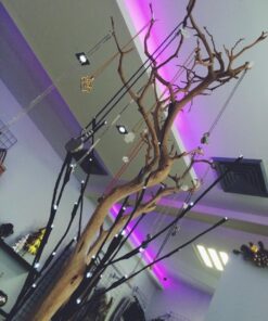 LEDwholesalers 12-Volt 16.4-ft RGB Color-Changing Kit with Controller and IR Remote, Power Supply, and LED Strip in White PCB, 2034RGB-R2+3369+3208 56 615WaXNLkbL